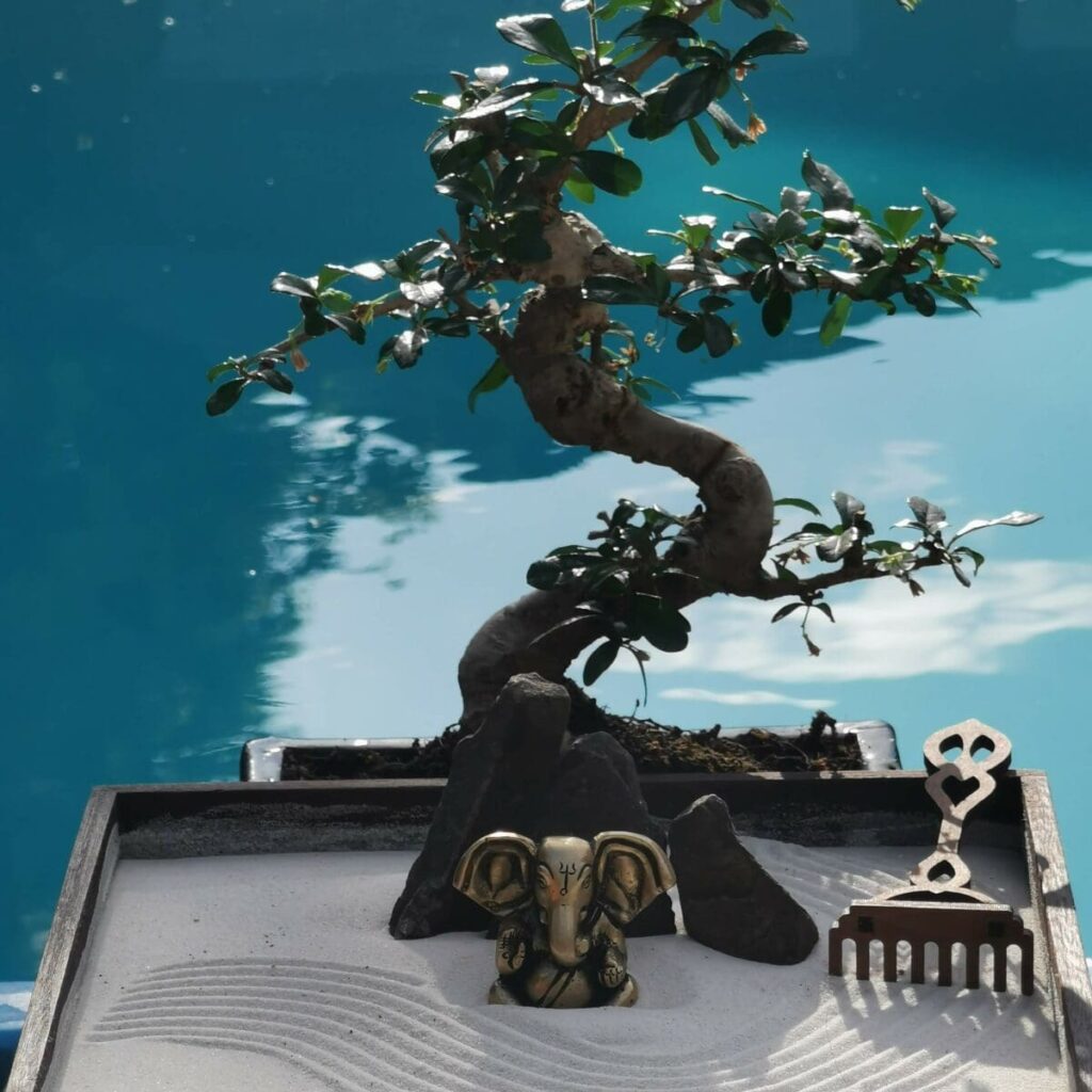 Miniatur-Zen-Garten: 5 Gründe, warum du einen brauchst!
