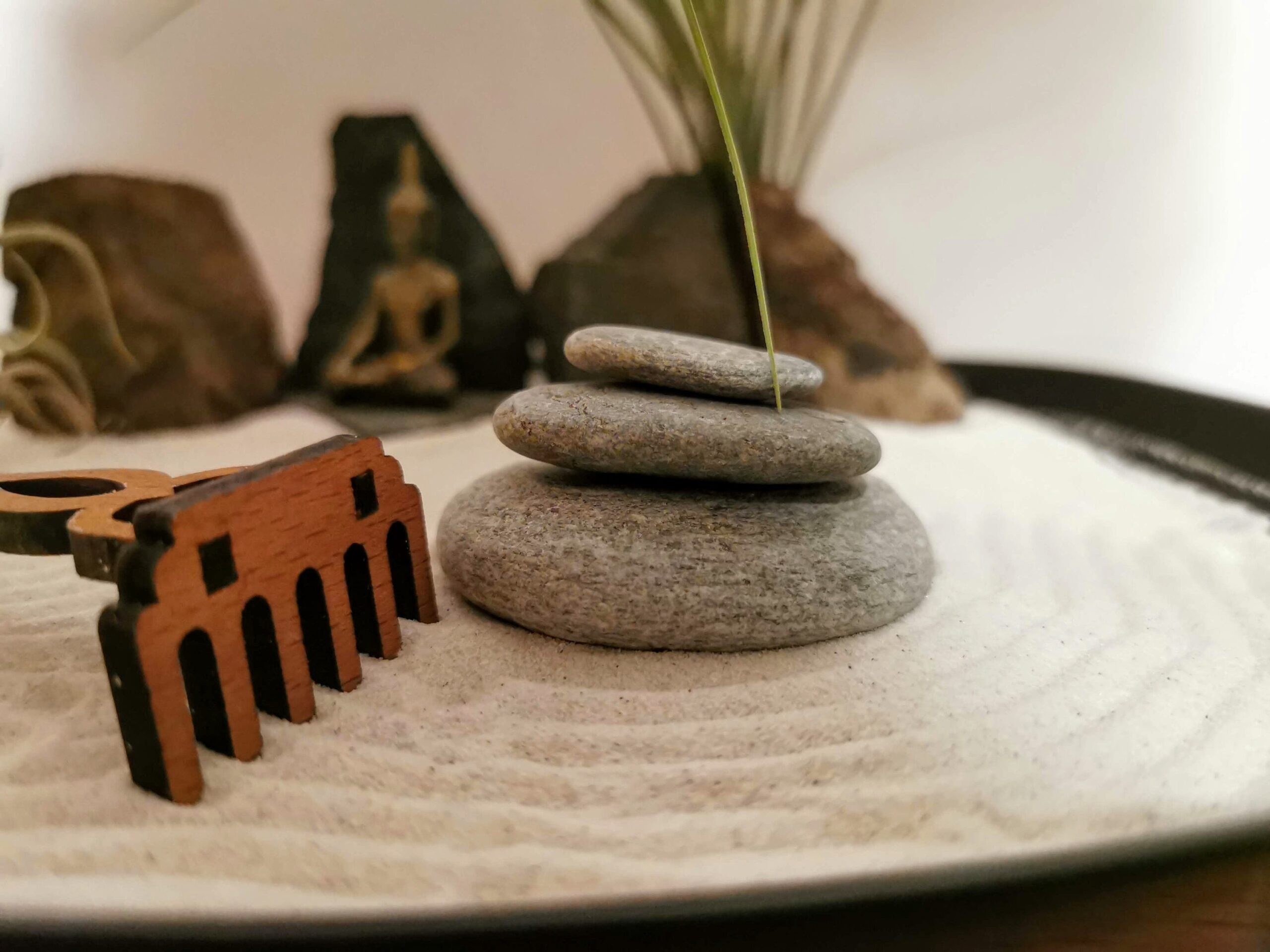 Zen-Garten Set mit Buddha & Tillandsien – handgefertigtes Achtsamkeits- und Meditations-Set aus Opalglas (DIY Kit, nachhaltiges Geschenk) – Bild 3
