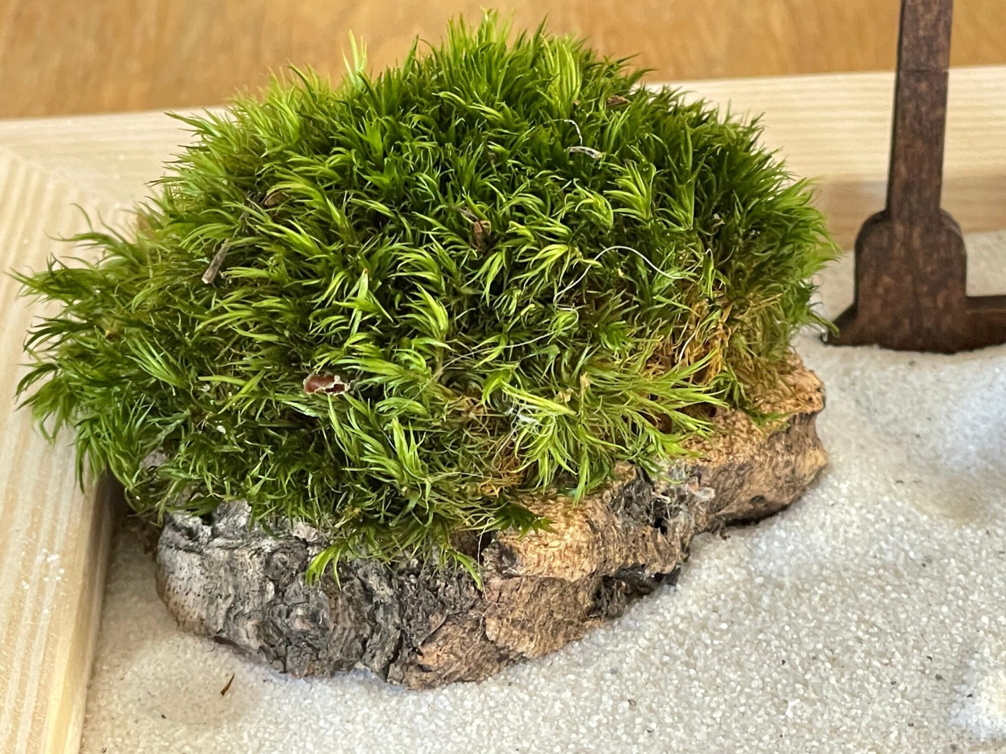 Großes handmade Zen-Garten-Set aus FSC-Holz mit Buddha, Torii, Brücke, Moos und Holz-Harke- aus umweltfreundlichen Materialien – Bild 8
